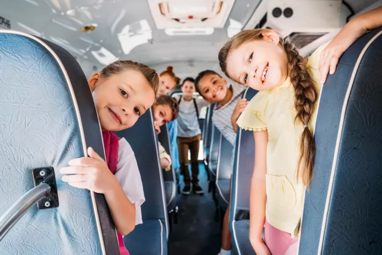 Quel bus prendre pour emmener son enfant à l'école en Corse ?, L'Île-Rousse, Guidicelli Taxi